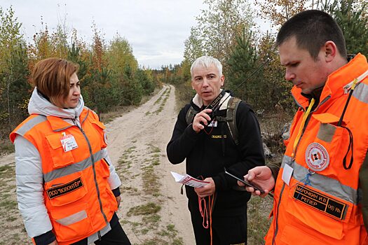 Как пойти в лес и остаться живым: разбираем ошибки грибников