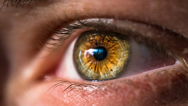 Как выявить редкий рак глаз, который обычно не имеет симптомов