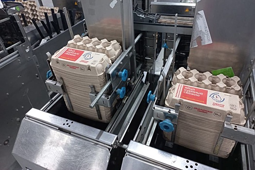 Балашовская птицефабрика увеличит производство яиц