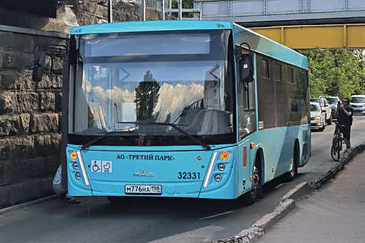 В Петербурге появился новый «мост глупости»