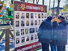Как в Псковской области находят останки бойцов времен ВОВ: «Ребята по-хорошему немножко больны этим делом»