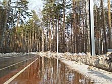 Велодорожку на Шарташе могут сделать "надводной"