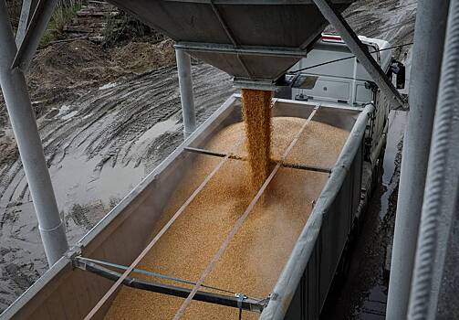 Еврокомиссия продлила запрет на ввоз зерна с Украины в ряд стран ЕС