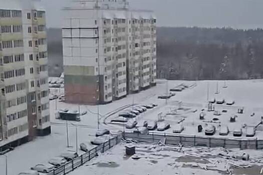 В двух российских регионах выпал снег и попал на видео
