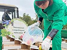 Крупнейший садовый инвестпроект в Башкортостане принесет по 30 тонн яблок с гектара