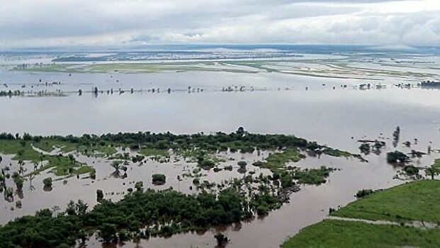 В Приамурье начались выплаты федеральной помощи пострадавшим от паводка