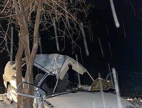 При столкновении с деревом в Шигонском районе пострадали водитель легковушки и его пассажир-подросток