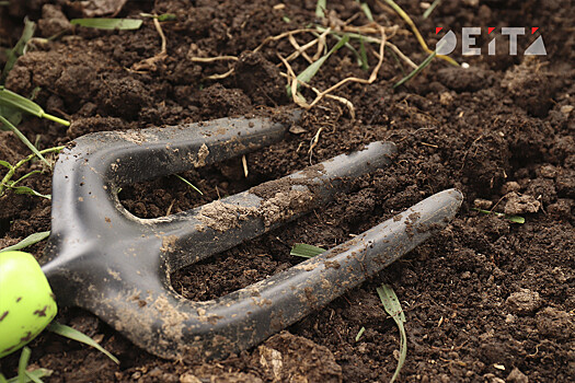 Дожди подтопили дороги и затопили огороды в Приморье