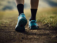 Доктор Конев: на долголетие влияют качество продуктов и активность