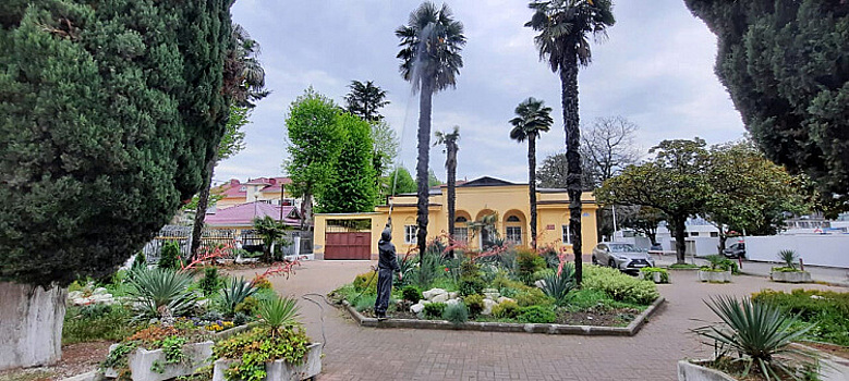 В Сочи 3,5 тысячи пальм обработали от американской бабочки и долгоносика