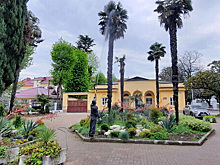 В Сочи 3,5 тысячи пальм обработали от американской бабочки и долгоносика