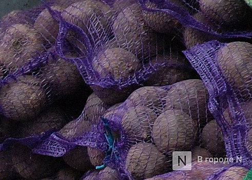 Опасных паразитов нашли в картофеле в Арзамасе