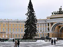 В Петербурге зажгли главную городскую новогоднюю елку на Дворцовой площади