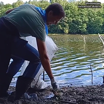 На берегах Вырки волонтеры собрали более 100 мешков мусора