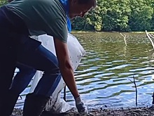 На берегах Вырки волонтеры собрали более 100 мешков мусора