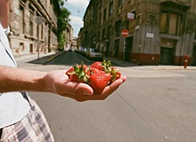 Врачи назвали самые опасные ягоды для аллергиков