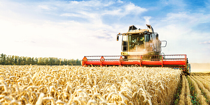 Власти Молдовы предоставят фермерам авансовые платежи для субсидирования сельского хозяйства