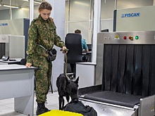 Отмена виз в Китай сказалась на количестве авиарейсов из Новосибирска