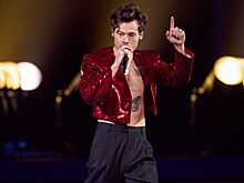 Гарри Стайлс поразил поклонников идеальным прессом. Только посмотрите на эти кубики!