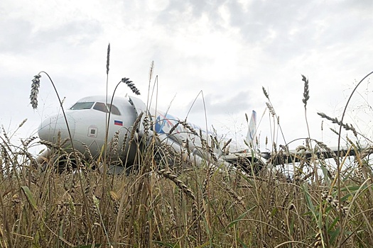 Эксперт Величко оценил результаты расследования вынужденной посадки самолета под Новосибирском