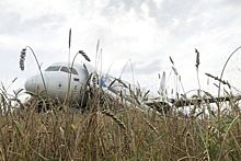 Эксперт Величко оценил результаты расследования вынужденной посадки самолета под Новосибирском