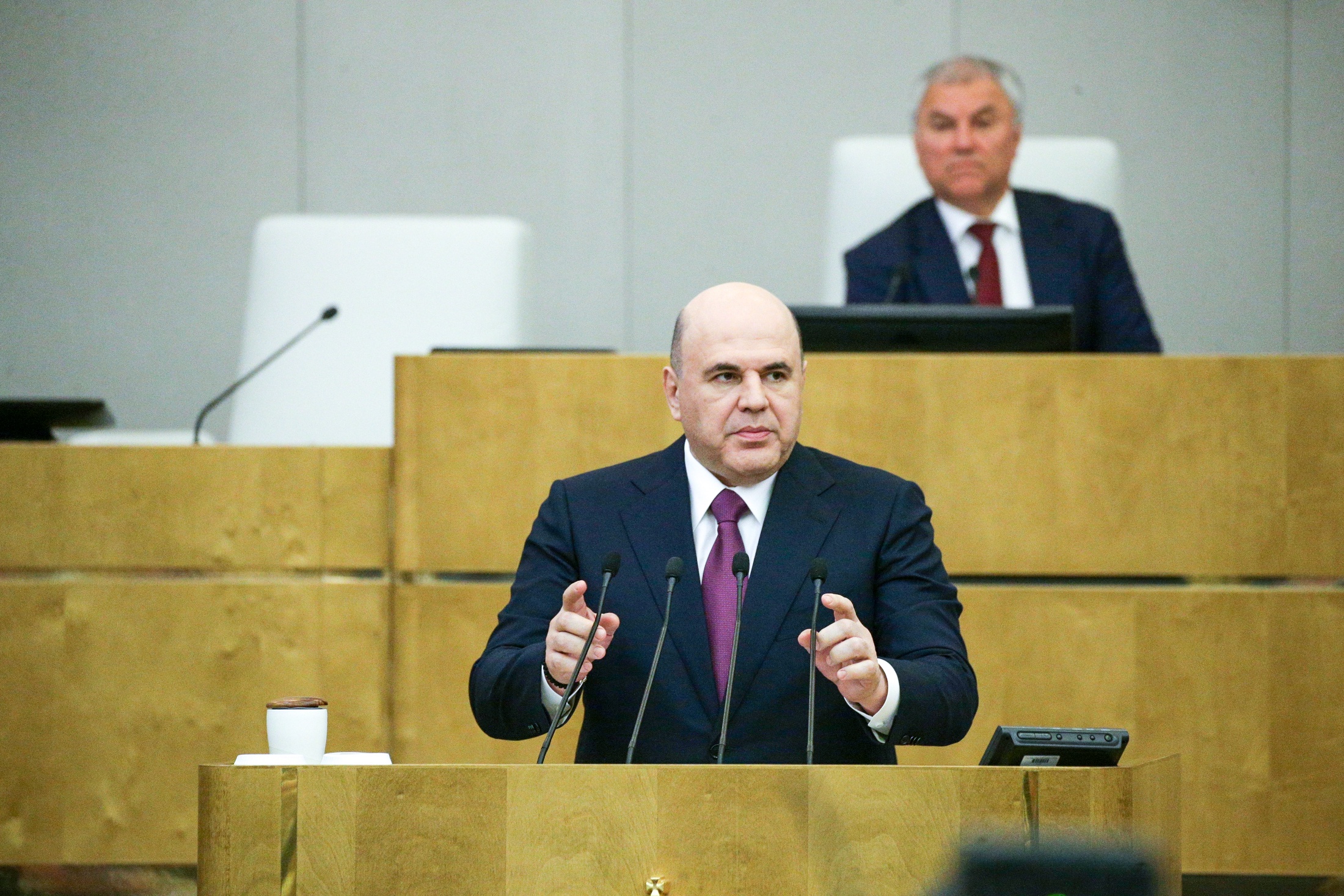 Мишустин перед утверждением его кандидатуры ответил на вопросы депутатов