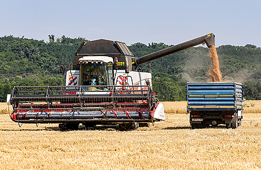 Прогноз по общему урожаю зерновых в России остается на уровне 135 млн тонн