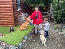 Собаки ждут ласки: жителей Владивостока приглашают на «Семейные выходные с Умкой»