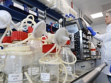 Вакцина от опоясывающего герпеса оказалась полезна при деменции