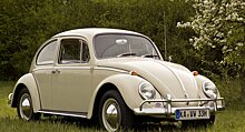 Volkswagen Käfer интересные факты из истории появления