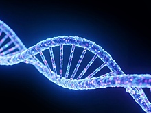 Учёные создали лекарство, которое «чинит» ДНК