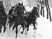 The New York Times (США): nichevo — девиз русской беспечности