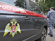 Госдума одобрила два законопроекта об ответственности за дискредитацию добровольцев Росгвардии