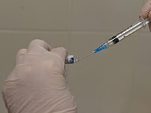 Вакцинированные туристы смогут свободно посещать Исландию