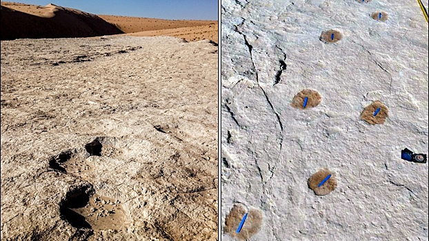 Обнаружены самые древние следы человека в Аравии
