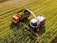 Донское правительство: на Ростсельмаше началось производство нового комбайна