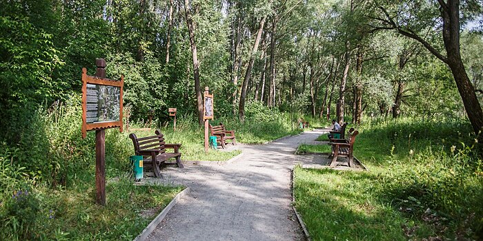 Лес посреди Москвы: 14 мест, где можно побыть наедине с природой