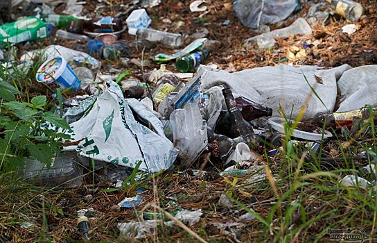 В центре Шадринска образуются стихийные свалки мусора