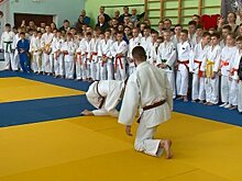 В Пензе дзюдоисты демонстрируют мастерство на татами