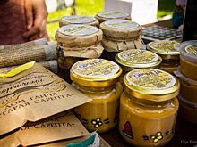 Для «молодильного» масла в Волгограде собрали рекордный урожай горчицы