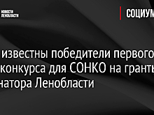 Стали известны победители первого этапа конкурса для СОНКО на гранты губернатора Ленобласти