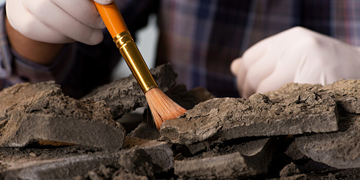 Кусочки древней амфоры обнаружили строители дорожной развязки на Кубани