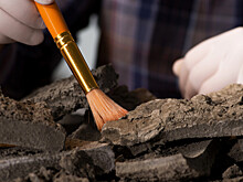 Кусочки древней амфоры обнаружили строители дорожной развязки на Кубани