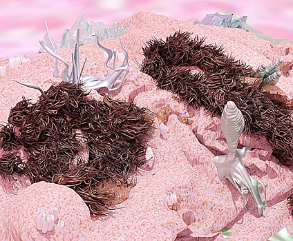 Транcпланетное сафари