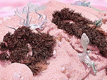 Транcпланетное сафари