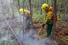 Жителям Саратовской области на 21 день запретили посещать леса