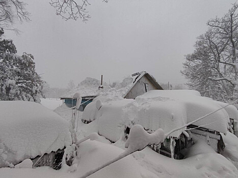 Крыша дома рухнула на семью под тяжестью снега в Приморье