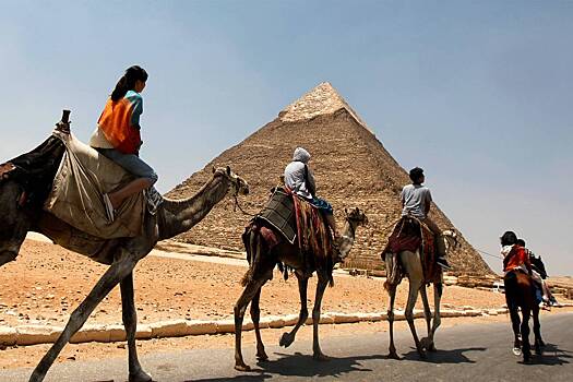 Россиянин поехал к пирамидам в Египте и пожаловался на верблюжьи фекалии