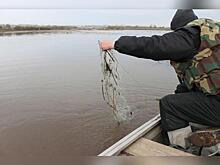 В Забайкалье браконьеры добыли рыбы на миллион рублей