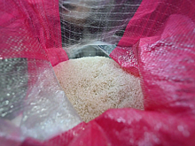 Глава Адыгеи Мурат Кумпилов: Урожайность риса в республике превышает средние многолетние значения